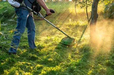 Man in jeans using grass trimmer for lawn care in backyard garden Stock Photos