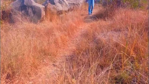 Man in Jeans Walking Towards Camera Stock Footage 136988971