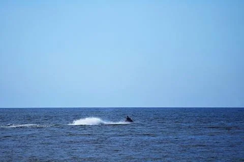 A man on a jet ski creating splashes in the open sea. Stock Photos