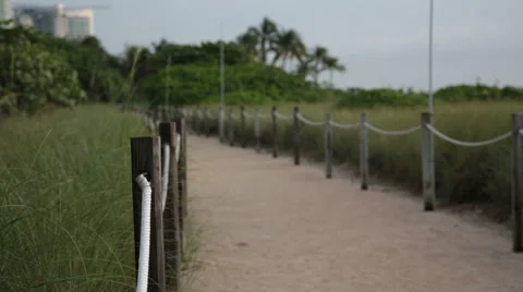 A man is jogging along the pathway in the park. Miami, Florida, USA. Stock Footage 53197294