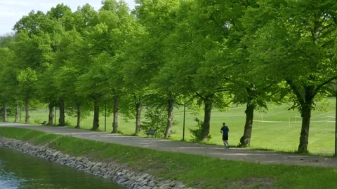 A man jogging along a peaceful tree-lined path beside the water. Stock Footage 318925848