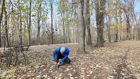 Man jogging in autumn forest, stops to tie shoelaces, then continues running Stock Footage 316838850