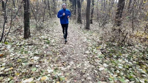 Man jogging on autumn forest trail in blue jacket and beanie, training endurance Stock Footage 318174947