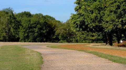 Man Jogging Away from Camera 4K Stock Footage 96048232