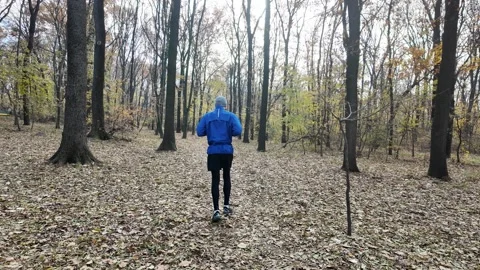 Man jogging away from camera in autumn forest, back view. Horizontal 4K footage Stock Footage 316842937