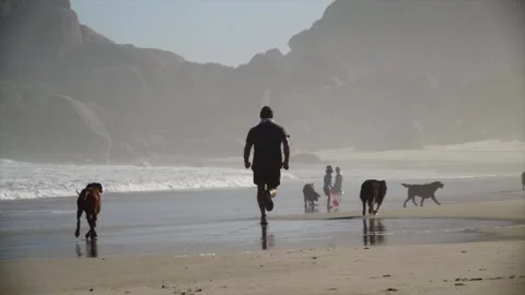 Man jogging on beach with dogs Stock Footage 251874559