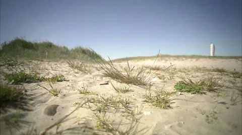 A man jogging on the beach Video stock 11287059
