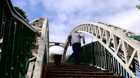 Man jogging with dog up the steps of an arched bridge Stock Footage 44541537