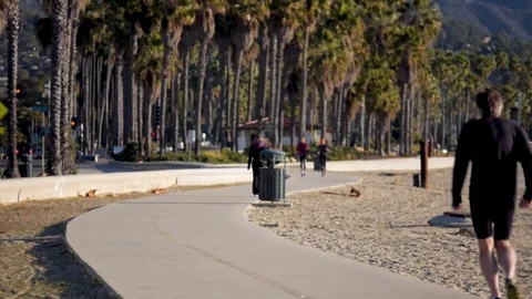 Man jogging down palm tree pathway in Santa Barbara California Stock Footage 78031809
