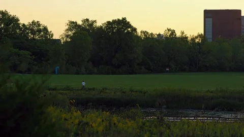 Man Jogging during Sunrise Stock Footage 244368077