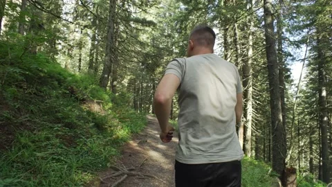 Man jogging in the forest, back view. Morning run, rear view Stock Footage 236779385