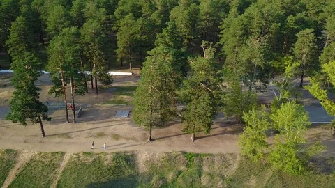 Man jogging forest Stock Footage 88066800