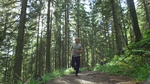 A man jogging in a green forest Stock Footage 236920962