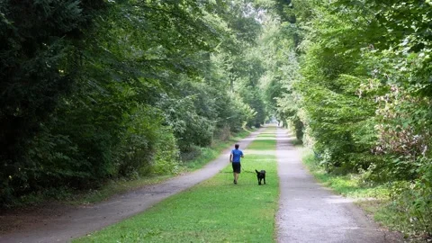 Man is jogging with his dog Stock Footage 222942835