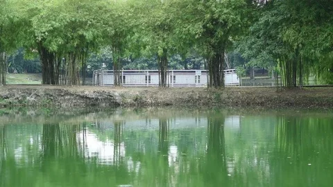 Man jogging at lake park Stock Footage 83305101