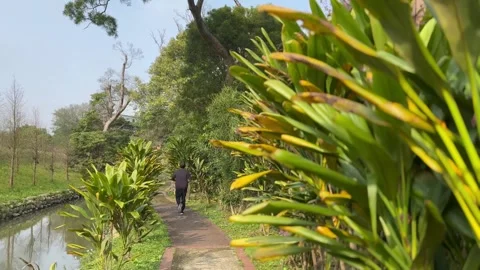 Man jogging in park canalside road on a sunny morning Stock Footage 268994613