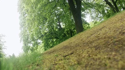 Man jogging in a park Stock-Footage 11340450