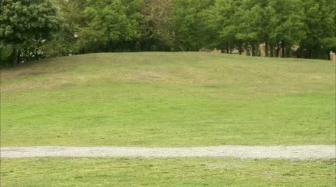 Man jogging in a park Stock Footage 11340459