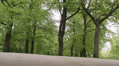 Man jogging in a park Stock Footage 11340492