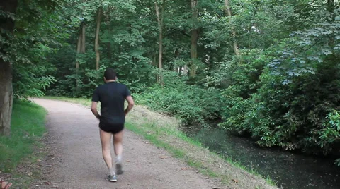 Man jogging in the park Stock Footage 30362406