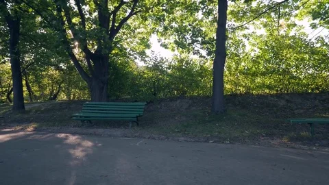 Man jogging in park Stock Footage 82062980