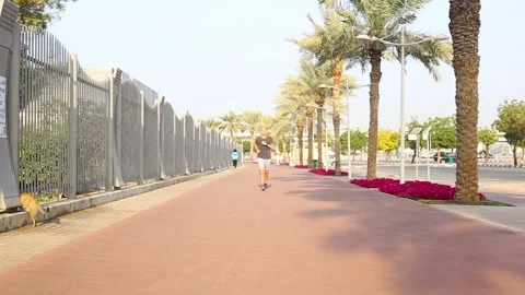 Man jogging in the park in the morning. Stock Footage 150417514