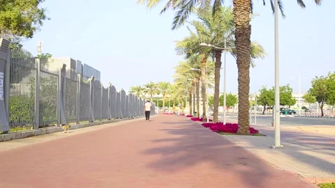 Man jogging in the park in the morning. Video stock 150417537