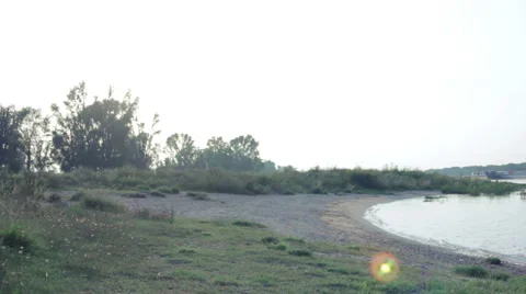 Man jogging by the river with his dog Stock Footage 40767932
