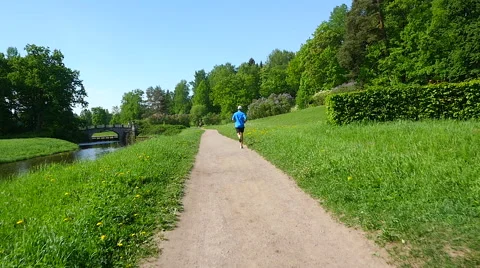 Man Jogging in summer Park Vídeo Stock 63507553
