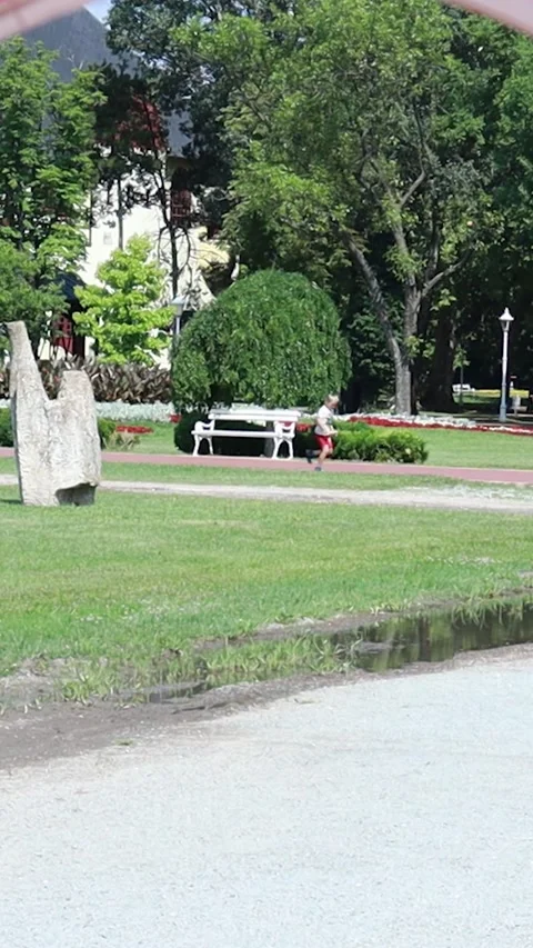 Man Jogging in Sunny Summer Park Near Lake Stock Footage 333554598