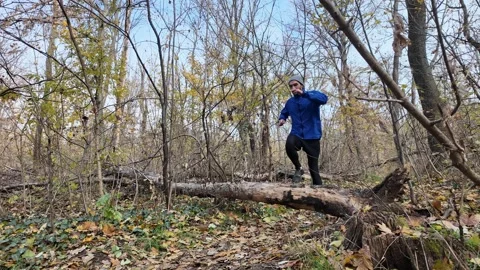 Man jogging through autumn forest, running along trail with fallen tree in the Stock Footage 318175403