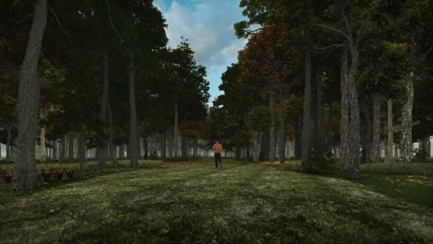 Man jogging through a beautiful forest, Autumn time Stock Footage 243176423