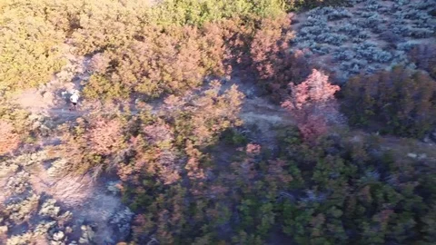 Man Jogging Through A Dirt Path In The Morning Stock Footage 78987136