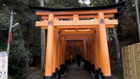 Man jogging through the Torii gates Stock Footage 79403035