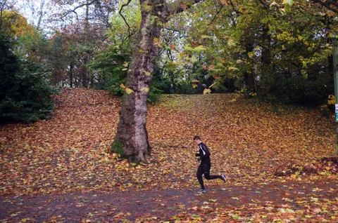 Man jogging in woods Stock Photos