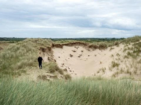 Man jogs in dunes at beach of cotentin in french normandy Фото