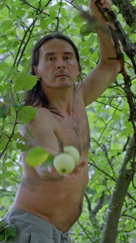 A man is joyfully picking fresh apples in the beautiful embrace of nature around Stock Footage 308743167