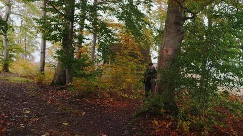 A man joyfully walks under a fallen tree in a vibrant autumn forest of colorful Stock Photos
