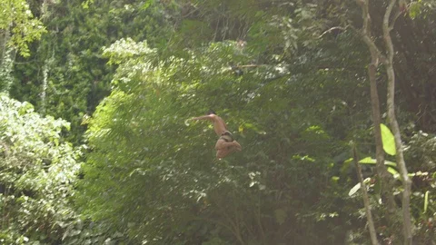 Man jumping off from a cliff into the water Stock Footage 87143394