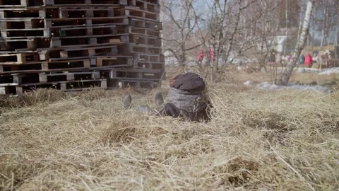 Man jumping into the hay Stock Footage 176382637