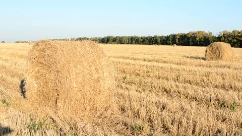 Man jumping on haystack Stock Footage 81074642