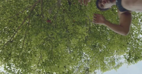 A man jumping - low angle view Video stock 146095828