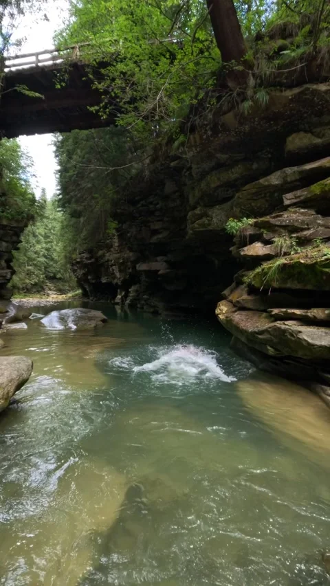 Man jumping into mountain river in canyon Stock Footage 256636322