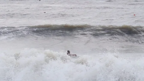 Man jumping into the stormy sea waves 스톡 동영상 81213938