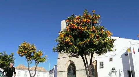 Man Jumping up to Take Orange Fruit Stock Footage 45704221