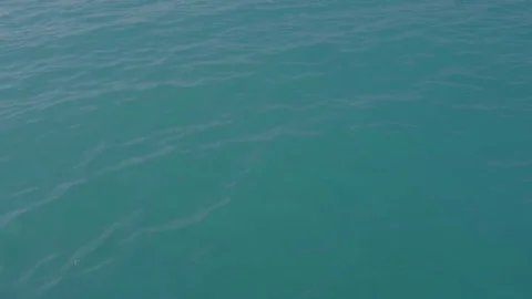 A man is jumping into the water. Stock Footage 82390428