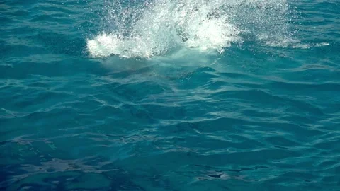 Man jumping in the water Stock-Footage 161785289