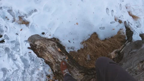 Man jumps off a dry branch of a tree Stock Footage 149955324