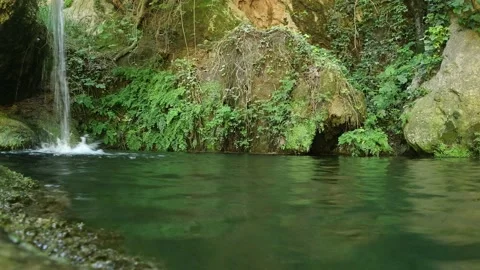 Man jumps into a river in the jungle Stock Footage 132865818