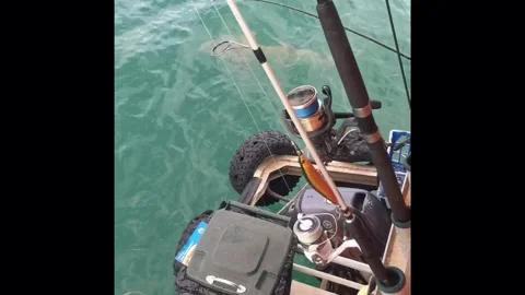 Man jumps on shark and it attacks him as he wrestles it Video stock 273013715
